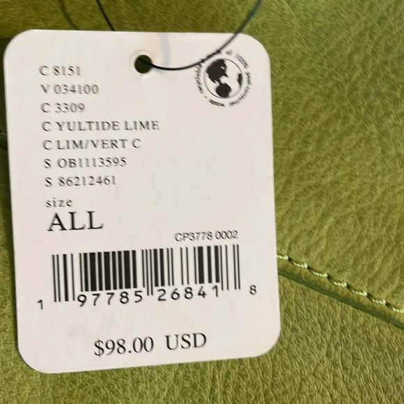 Free People Wilder Embellished Sling Bag in Yultide Lime - Picture 8 of 8